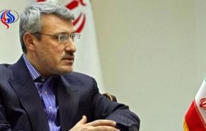 بعیدی نژاد: اقدام یکجانبه آمریکا خلاف قوانین بین‌المللی است