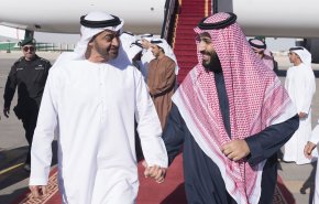 فضائح بالجملة .. ابن زايد يعمل على تفكيك السعودية!