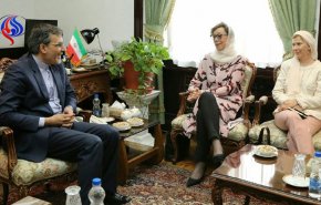 دیدار قائم مقام وزیر خارجه سوئد با جابری انصاری