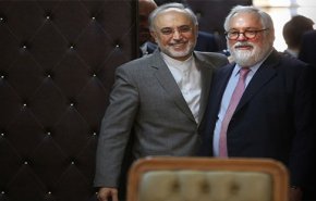 کمیسیونرانرژی اروپا با رییس سازمان انرژی اتمی دیدارکرد