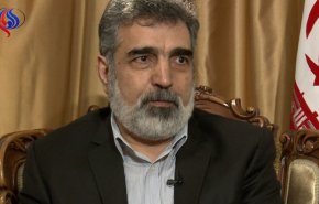 مکانیزم های اروپا قبل از آغاز تحریم آمریکا باید برقرار شود/ آمادگی سازمان انرژی اتمی برای بازگشت به شرایط قبل