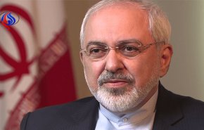 ظریف وارد تهران شد