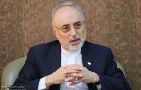 دیدار و گفتگوی رئیس نظام ایمنی هسته‌ای روسیه با صالحی