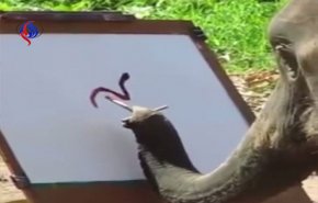 شاهد :  أنثى فيل ترسم صورة لنفسها بطريقة مذهلة!
