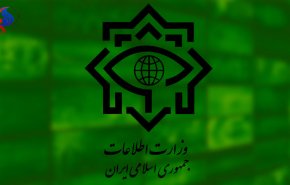 چهار صیاد ایرانی آزاد شده به کشور بازگشتند