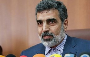 کمالوندی: مذاکره با چینی‌ها درباره 