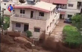 شاهد:سيول 