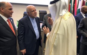 عکس/ گفتگوی زنگنه و الفالح پس از نشست 174 اوپک