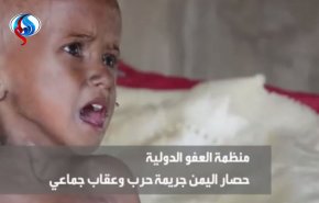 هشدار سازمان عفو بین الملل درباره بروز فاجعه انسانی در یمن  