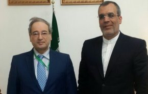 بررسی آخرین روند تحولات سیاسی و میدانی سوریه در دیدار جابری انصاری و فیصل مقداد
