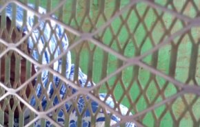 تخفيف حكم الإعدام بحق سودانية متهمة بقتل زوجها