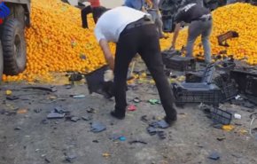 شاهد.. إحباط تهريب مليوني حبة كبتاغون من بيروت الى السعودية