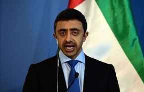 وزیر خارجه امارات: 4 کشور عربی آماده حل بحران قطر هستند