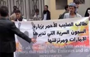 عفو بین الملل: امارات ناقض حقوق بشر است

