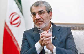 کدخدایی: شورای نگهبان علم غیب ندارد