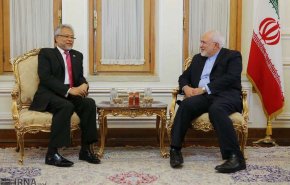 دبیرکل جدید سازمان دی هشت با ظریف دیدار کرد