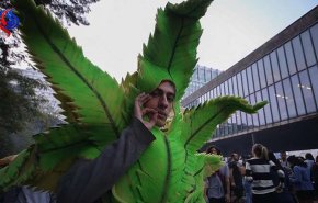 جورجيا تشرع تعاطي الماريغوانا