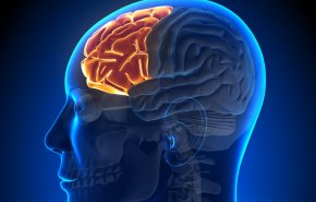 ماذا يحدث لدماغك إذا توقفت عن استخدام 