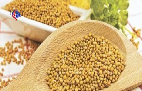 10 فوائد صحية لا تصدق لحبة الخردل!