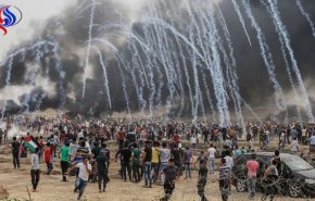 آمادگی فلسطینیان برای مشارکت در «جمعه آزادی و زندگی»