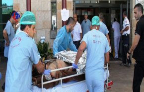 فيروس “النيل الغربي” يثير هلع الإسرائيليين!
