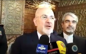 تأکید ظریف بر حفظ تمامیت ارضی سوریه و پاکسازی ادلب از تروریست‌ها
