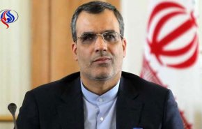 جابری انصاری با نماینده ویژه رییس جمهوری فرانسه دیدار کرد