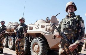 توقيف ارهابي و ضبط 45 مهاجرا غيرشرعي في الجزائر