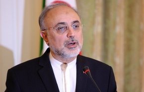 تأکید صالحی بر ایفای نقش موثر و فنی انگلیس در پروژه نوسازی راکتور اراک