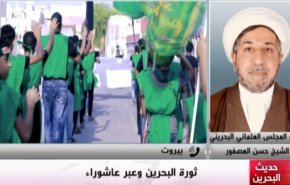 ملخص - حديث البحرين - ثورة البحرين وعبر عاشوراء