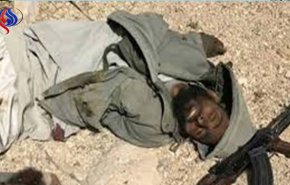 یک فرمانده داعش در شبه‌جزیره سیناء مصر کشته شد
