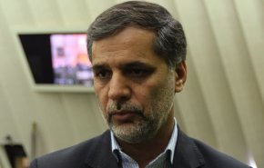آل سعود تحمل نقد را ندارد/ عربستان با دلارهای نفتی کشورهای منطقه را بی ثبات می کند