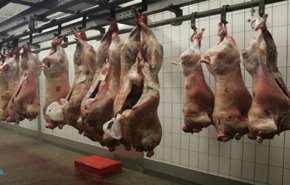 الصين تخوض معركة حاسمة ضد منتجات الحلال!
