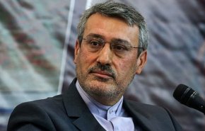 واکنش بعید‌ی‌نژاد به تحریف اظهاراتش در یک شبکه خبری فارسی زبان در انگلیس
