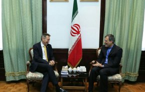گفت‌وگوی رئیس کمیته بین‌المللی صلیب سرخ با جابری‌انصاری درباره سوریه و یمن