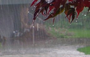 کاهش بارش ها در خطه سبز شمال/ آخرین وضعیت بارش های ایران+جدول