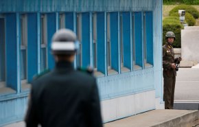 خطوة نحو السلام.. رفع الأعلام الصفراء على الحدود بين الكوريتين