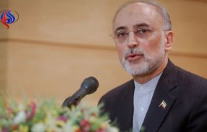 صالحی: دستاوردهای ایران با وجود تحریم ها دنیا را مبهوت کرده است