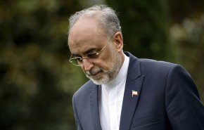 تأکید صالحی بر تداوم تعاملات سازنده با اروپا در زمینه همکاری‌ صلح‌‌آمیز هسته‌ای