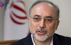 صالحی: امیدواریم برجام را زنده نگه داریم/ باید در این نبرد پیروز شویم