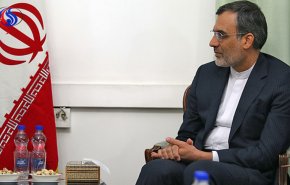 جابری انصاری، برای مذاکرات صلح سوریه وارد آستانه شد