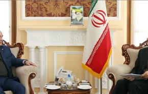 حمله شیمیایی تروریستی به حلب تاسف بار است
