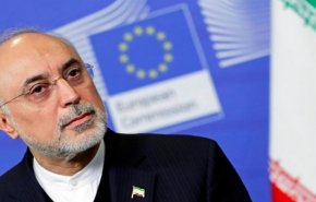 صالحی: موفقیت برجام آزمونی جدی برای ارزیابی اعتبار آژانس است
