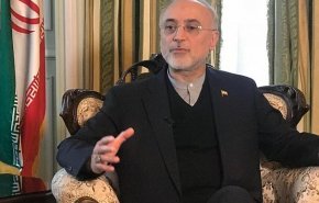 صالحی: خیلی راحت می‌توانیم به شرایط قبل از برجام برگردیم 
