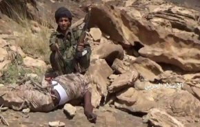 کشته شدن عناصر سعودی در جبهه های النهم و البیضاء