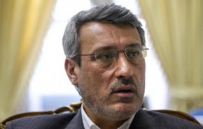 بعیدی‌نژاد: 260 ایرانی دارای اقامت غیرقانونی در انگلیس به کشور بازگشتند
