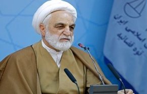 آخرین وضعیت پرونده سیف و عظیم‌خودرو/ اسامی عده‌ای دیگر از اخلالگران در نظام اقتصادی کشور اعلام شد