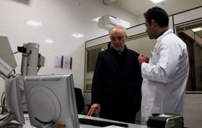 صالحی: نظام اراده کند غنی‌سازی 20 درصد را در فردو از سر می‌گیریم