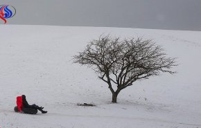 آغاز دور جدید 