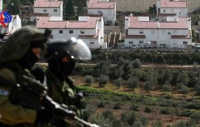 صهیونیست ها 172 هکتار از اراضی فلسطینی ها را مصادره می کنند